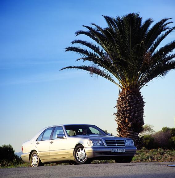 A94F81
